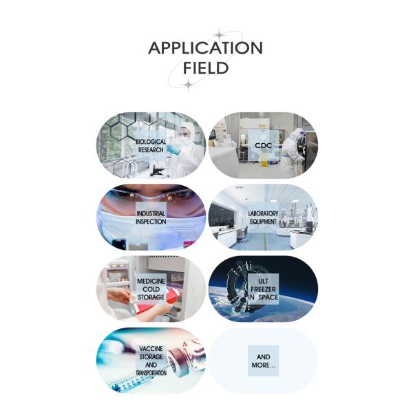 25L минус 86 градусов по Цельсию Медицинский трансфер Фризер компактный и для хранения вакцин