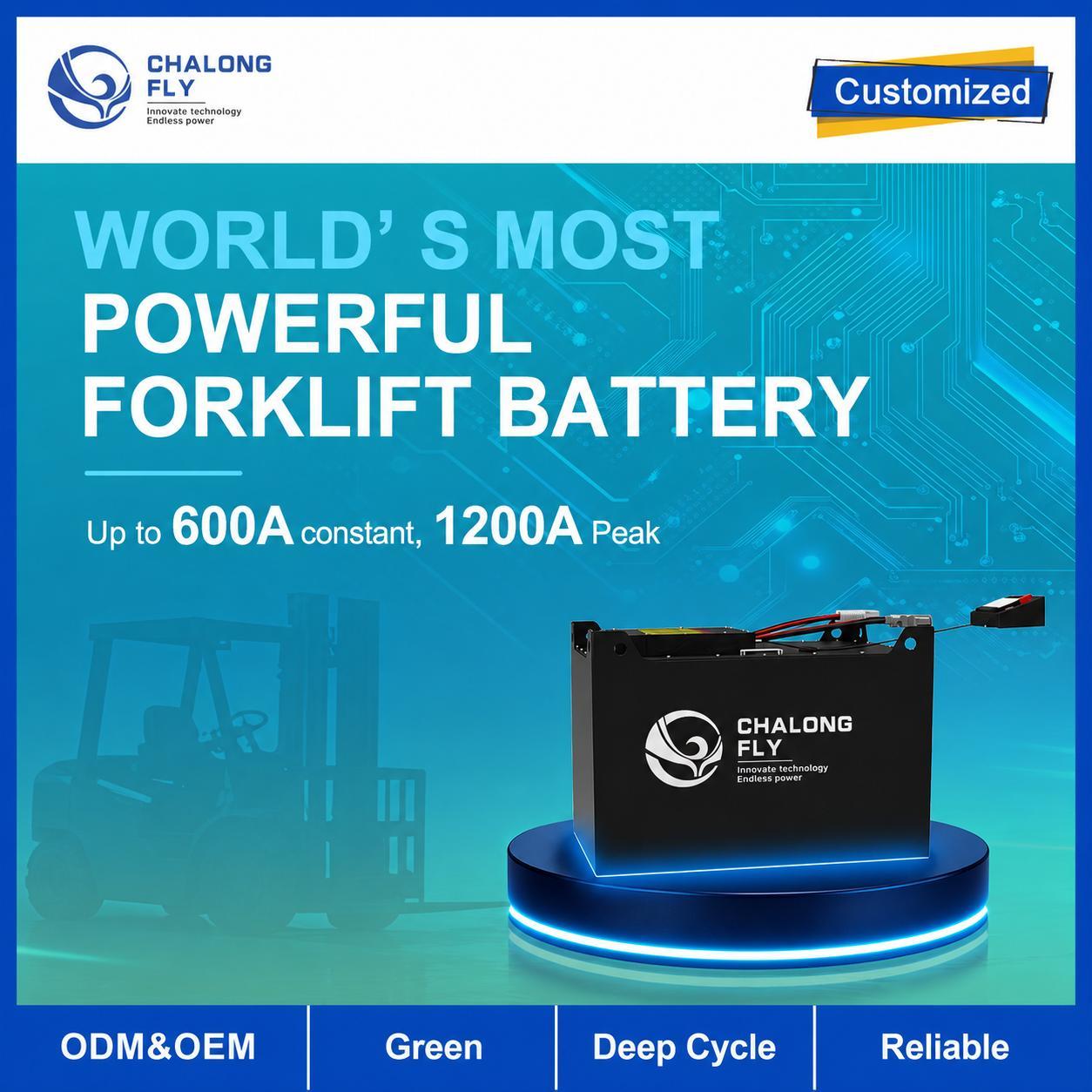 51.2V 608Ah LiFePO4 Forklift Battery with 4G Monitoring and SOC Display