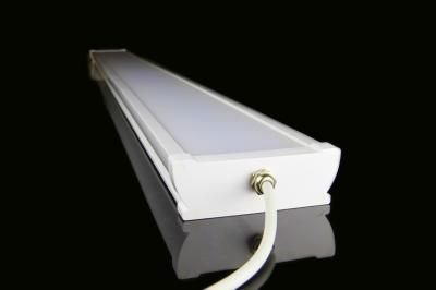 Waterproof 2ft LED Batten Light Fluorescent Light Fixture With Switchable CCT Power