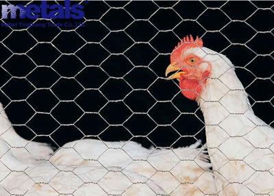 Galvanizado rede de arame hexagonal 3ft por 30m no Quênia Aves de aves de capoeira cercas de galinha