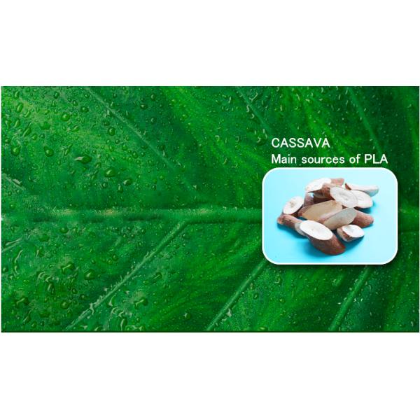 Biodegradable d matte k OEM waterproof bag zipper compostable zip packing bag for clothing apparel packing