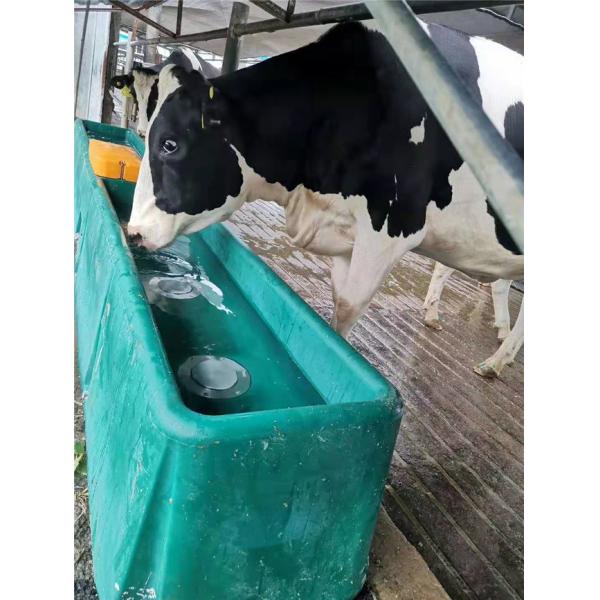 Корова Frost придает непроницаемость термальные скотины 98KG мочит ринв воды пьяниц 560mm нагретый