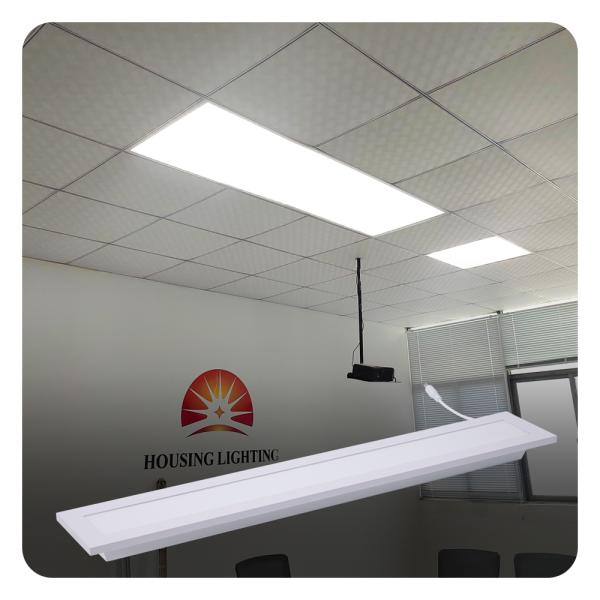 Customizable Sizes LED Panel Light with 50000 Hours Lifespan and 5-Year Warranty for Modern Office Lighting