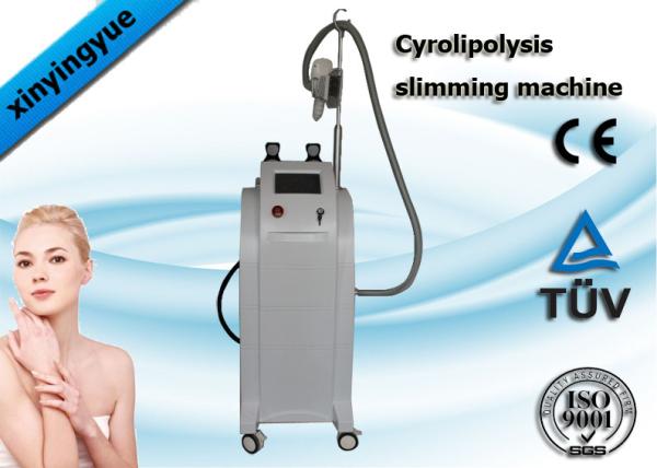Fat Reducing Cryolipolysis Slimming Machine Cavitaion RF Cryo Fat Freezing Machine