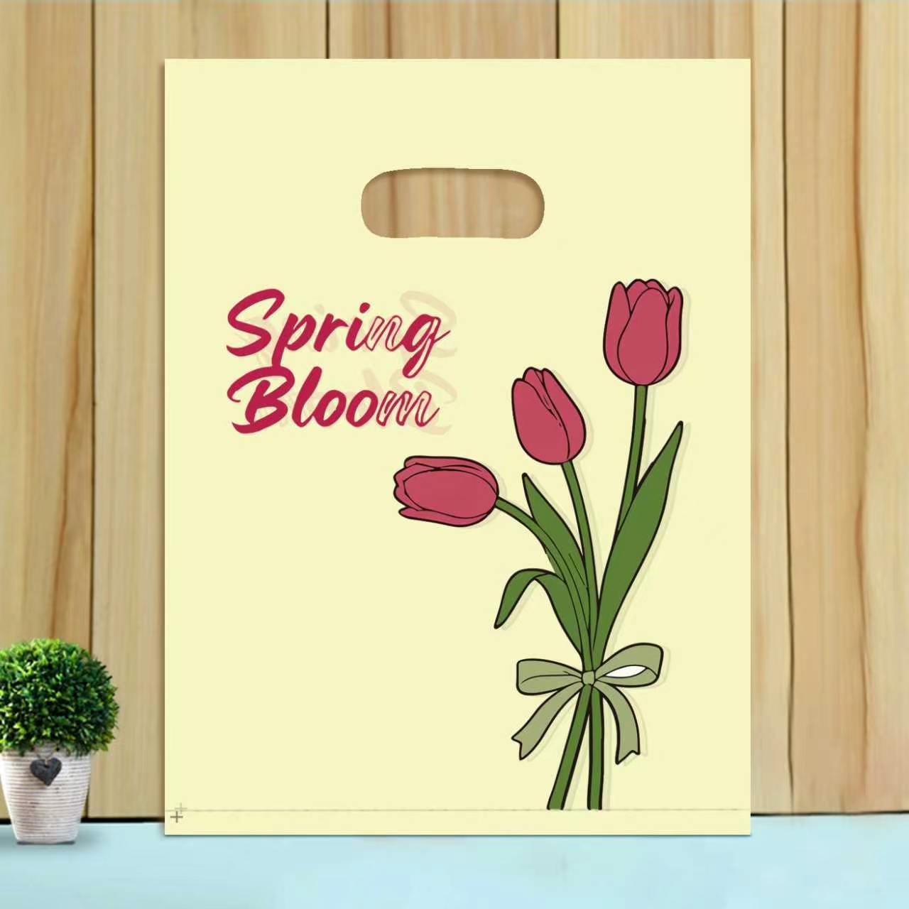 Eco Friendly Printed HDPE Hand Hole Bags Reusable Custom Logo Carry Bags for Retail