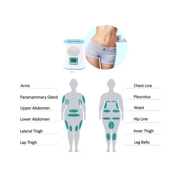 Mini Cryo Body Sculpting Machine Weight Loss Cryo Slimming Machine