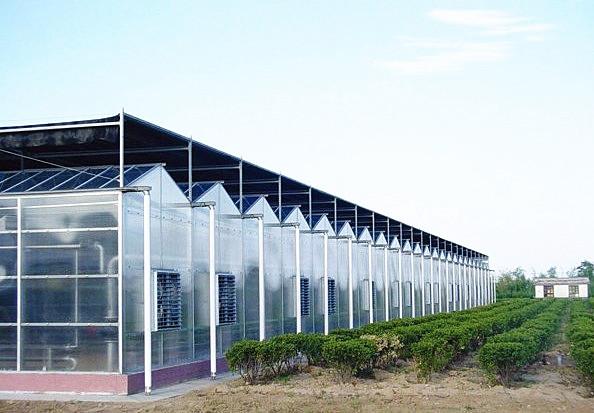 PC Sheet Commercial Hydroponic Greenhouse For Cultivation Vegetables / Flowers / Fruit Trees