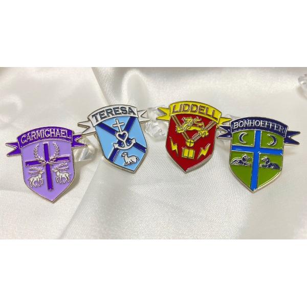 Custom 2D/3D Design Zinc Alloy Soft Enamel Lapel Pins for Branding and Commemoration