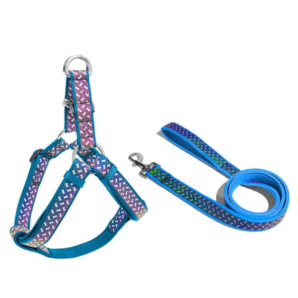 Dos acessórios macios dos animais de estimação do neopreno dos colares de cão de estimação da trela do cão grupo exclusivo reflexivo da trela do chicote de fios da corda do animal de estimação