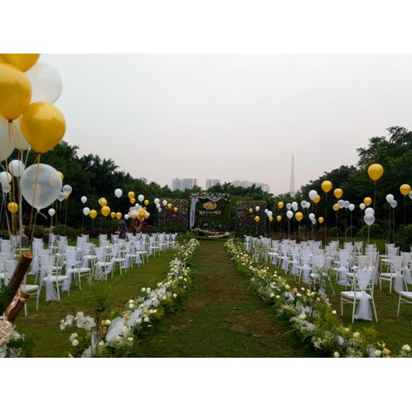 Hotel Celebration Organza Polyester Chair Back Cover