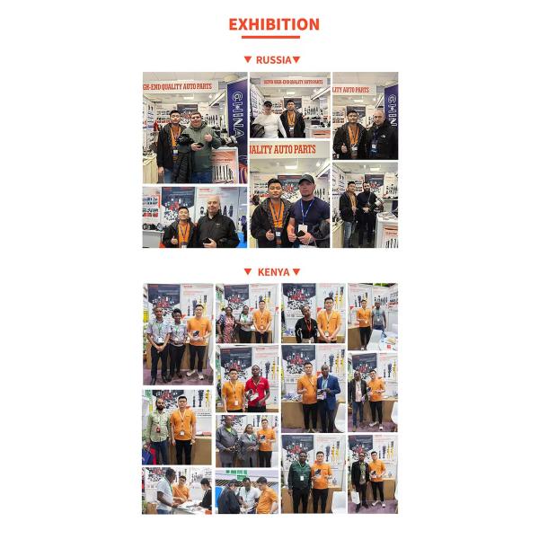 DPATP Factory Wholesale Shock Absorbers Air Suspension Parts for Mercedes BMW Porsche for Land Rover Audi Cars Honda Patrol