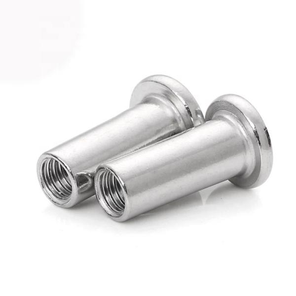 Мужчина и женщина заклепки винта стыковки альбома заклепки стыковки нержавеющей стали