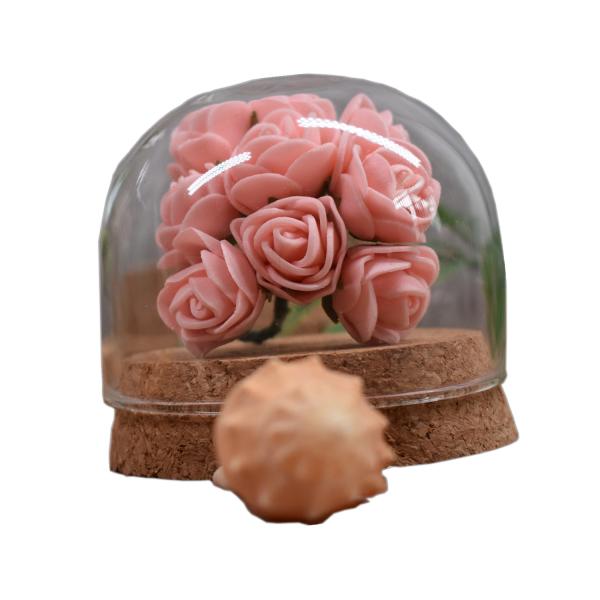 ISO9001 Small Borosilicate Glass Dome Cork Base Eco Friendly