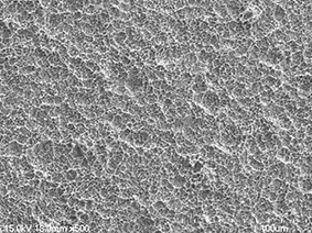 WARANTEC® ONEPLANT TAPERED Внутренний 3.6 / 5.3 Титановый Премиллионный Пустой 10 мм