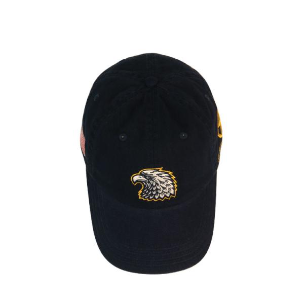 6 Panel Embroidered Baseball Caps Animal Eagle Pattern Dad Cap With America Flag
