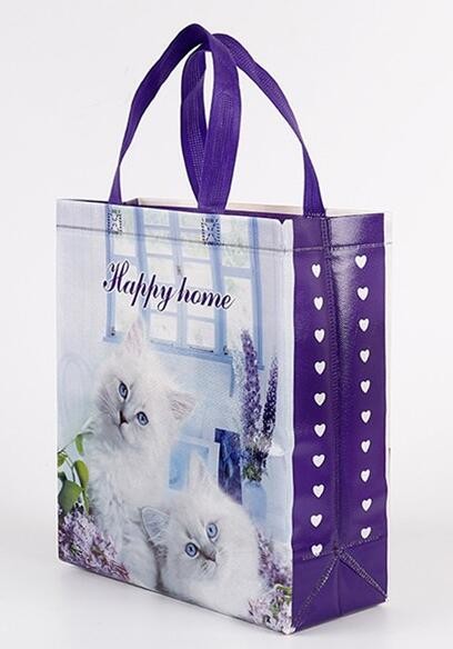 Custom Promotional shopping tote fabric polypropylene laminated pp non woven bag, Wholesale high promotion laminated rec