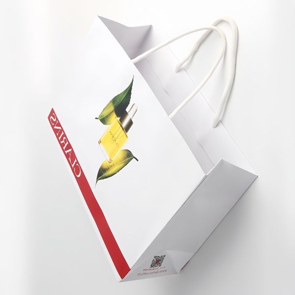 Surface Smooth Paper Gift Box Biodegradable Recycled Custom Luxury Paper Bags