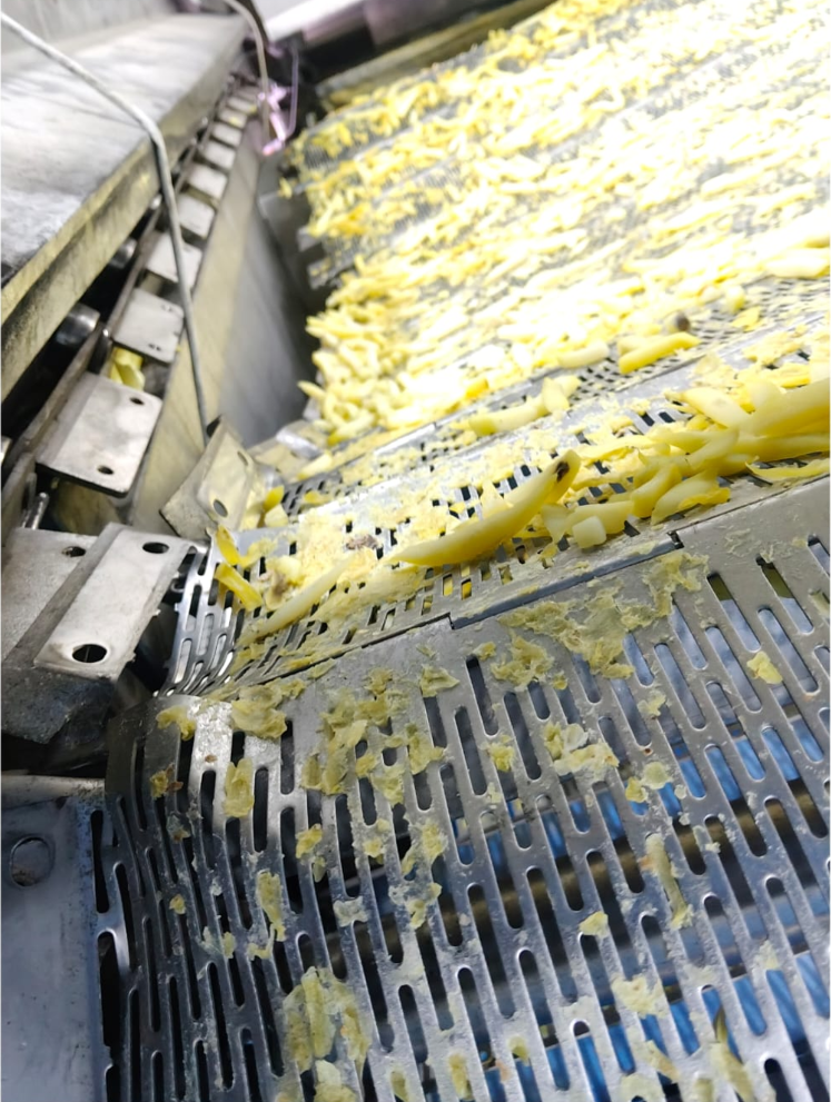 Stainless Steel Perforated Conveyor Belt For French Fries Vegetable Washing Dewatering Cooling Conveyor