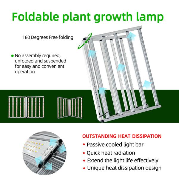 Horticulture Hydroponique LM281B 10 Bar Plein Spéctrum 1000W Lampes de croissance LED LM301H EVO pour les plantes d'intérieur