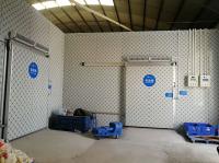 Chambre froide de stockage en vrac, chambres froides positives, chambres froides avec système de réfrigération