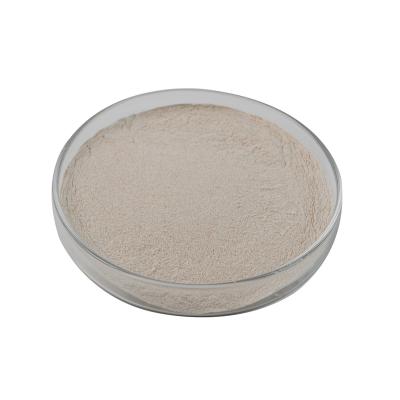 200,000u/g poudre d'alpha amylase industrielle pour le décapage des textiles