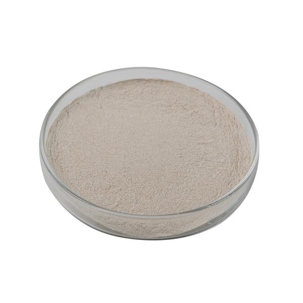 Animal Feed Grade Amylase: Premium Enzyme for Poultry & Livestock