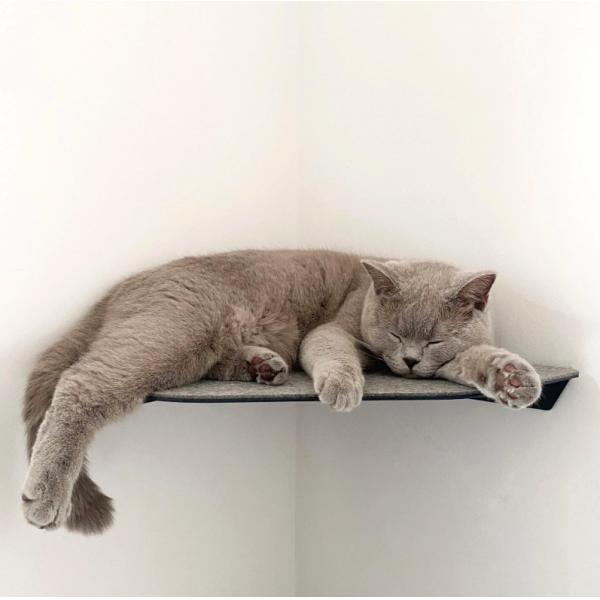 Современный металлический кошачий комната настенное сиденье с штамповыми частями установка настенная установка предварительная сверла