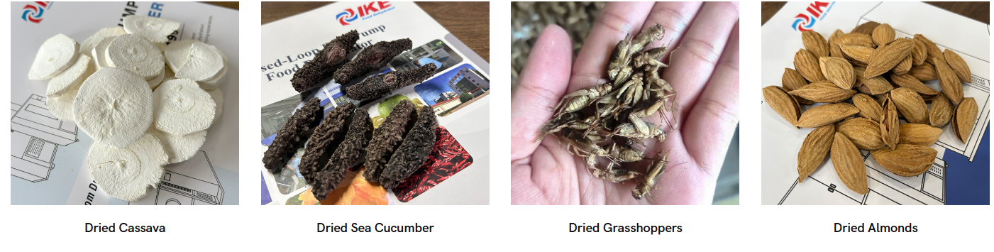 Coattech 7-HP Heat Pump Dryer | Industrial Moringa Dehydration