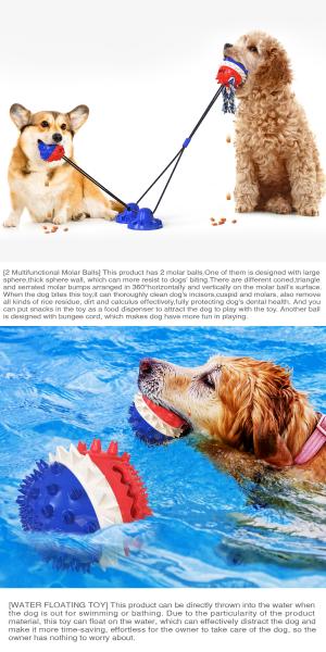 Dentes de cão interativos sibilantes dos brinquedos do animal de estimação do copo da sução dobro que limpam o ODM da bola TPR