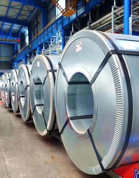 Custom Size Hot Dip Galvanised Steel Strip Cold Rolled DX51 DX52 DX53 SPCC SGCC