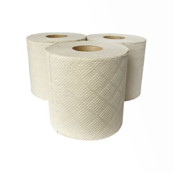 Tree Free High Quality Wholesale Toilet Paper Shine Feel Toilet Roll Silk Soft Toilet Tissue in Bulk