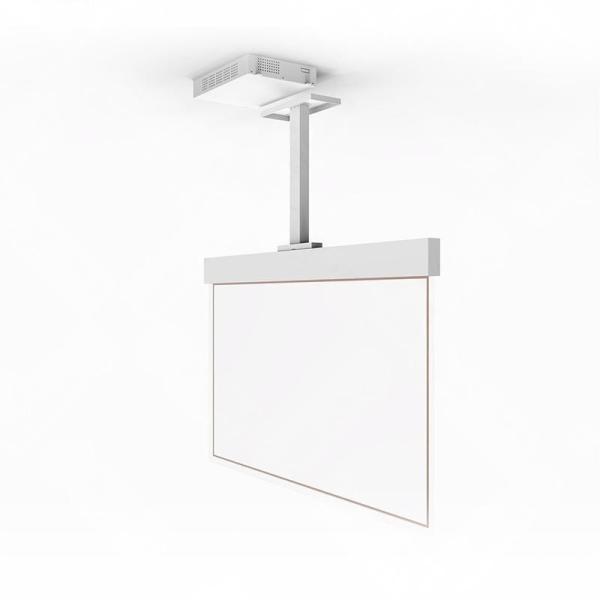 55 Inch OLED Transparent Display With Hanging Installation Ultra Slim Design