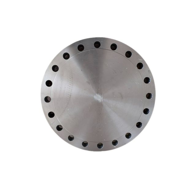 Easy Installation Space Saving Insert Blind Flange ASMEB16.5 Class150