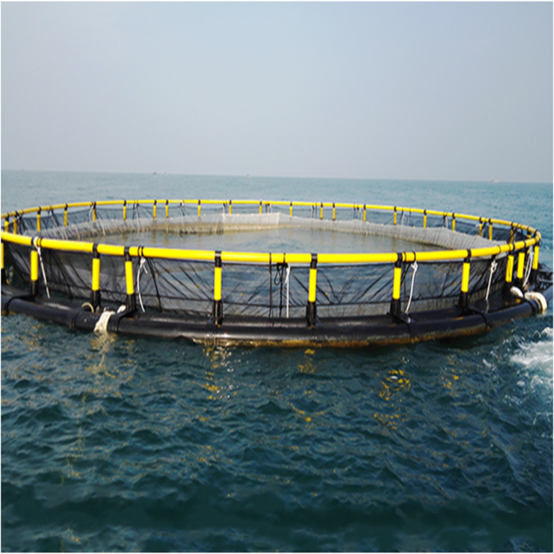 Custom Round Floating Aquaculture Cage Wind Corrosion Resistant Fish Net Cage Complete Accessories for Tilapia Large Scale Breeding