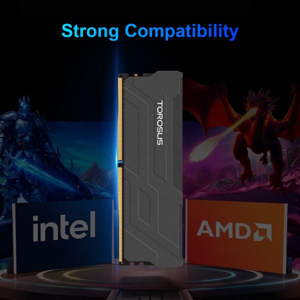 TOROSUS H42/H52 Desktop Memory with Heat Sink Series