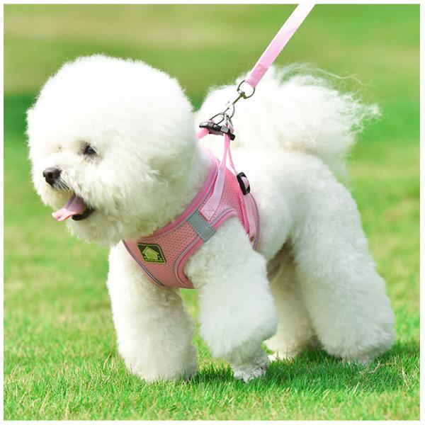 No Pull Quick Release Adjustable Dog Pet Collar Leash Vest New Arrivals