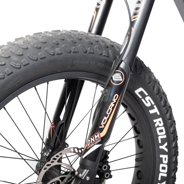 48V 1000W Mid Drive Motor Electric Bicycle with Carbon Fiber Frame and Bafang Motor