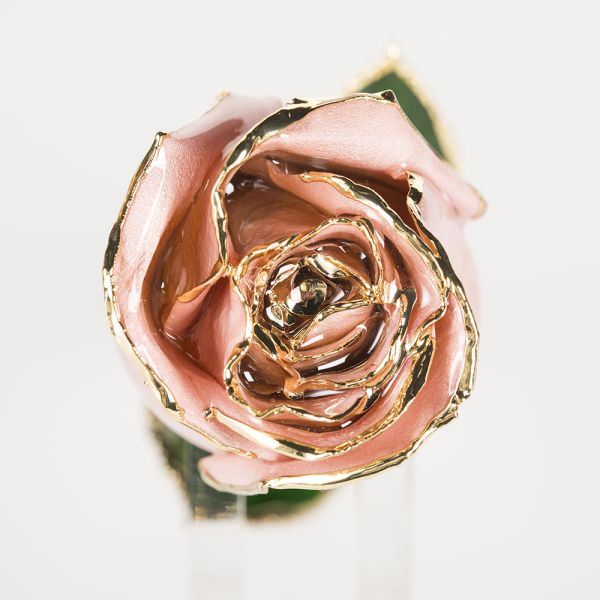 24k Gold Plated Rose Fresh Rose with Stem Present  Rose Gift Valentine Mother Day Eternal Rose Preserved Flower
