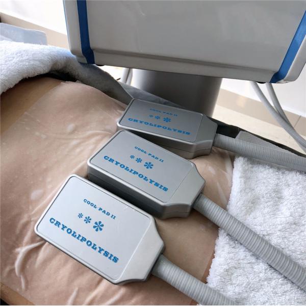 Машина 110V 60Hz Cryolipolysis дома экрана касания или высокая эффективность 220v 50Hz