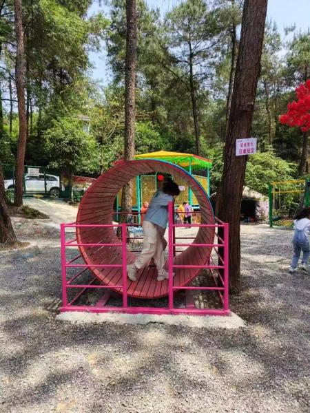 Unpowered Wooden Roller Playhouse for Children 2-15 Years