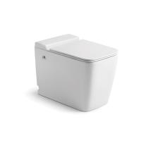 Toilet sin tanque de pulso moderno montado en el piso del baño