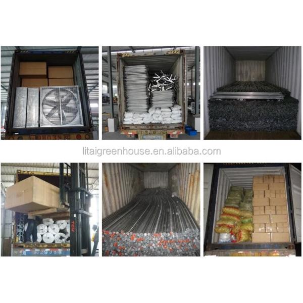 Большая прозрачная пластиковая пленка с многопролетным тепличным палатком для выращивания прозрачная и прочная