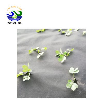 Landscape Fabric Under Mulch 60Gsm Weed Barrier Fabric