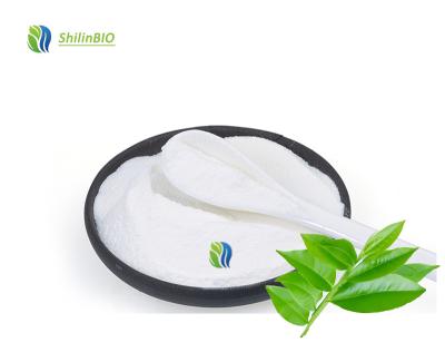 Wholesale High Quality L Theanine Tea Extract L-theanine 99% L-Theanine Powder