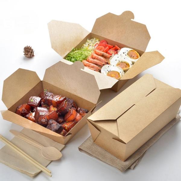 OEM Disposable Box Packaging For Food Custom Print Box Biodegradable