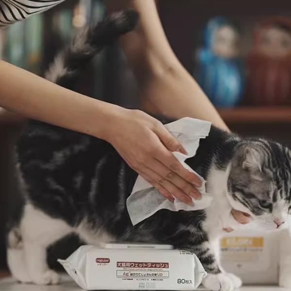 Pet Wet Wipes For Cats And Dogs No Rinse For Tear Stain Cleaning Deodorization And Cleaning Wet Wipes