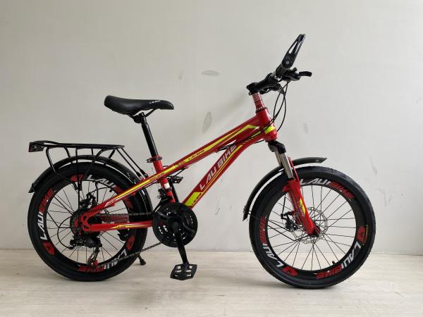 MTB Full Suspension Steel Frame 20 Inch Mountain Bike With Disc Brakes 21 Speed