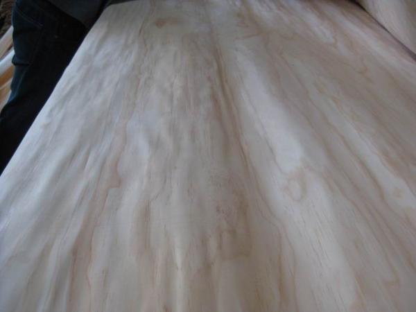 Rotary Cut New Zealand Pine Wood Veneer Sheet, Face/Back Grade