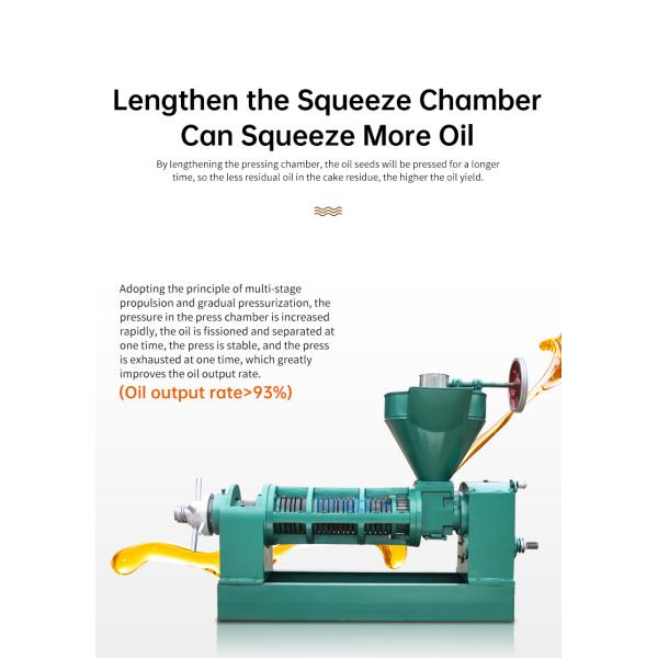 KG Industrial Oil Extractor High Oil Yield Cold Pressed Rosehip Oil Press Automatic Moringa Oil Pressers Pressing Machine