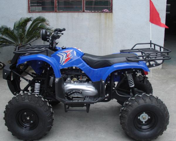 8 juventude Atv do pneu 150cc com o começo do pé, único cilindro todo o veículo utilitário do terreno